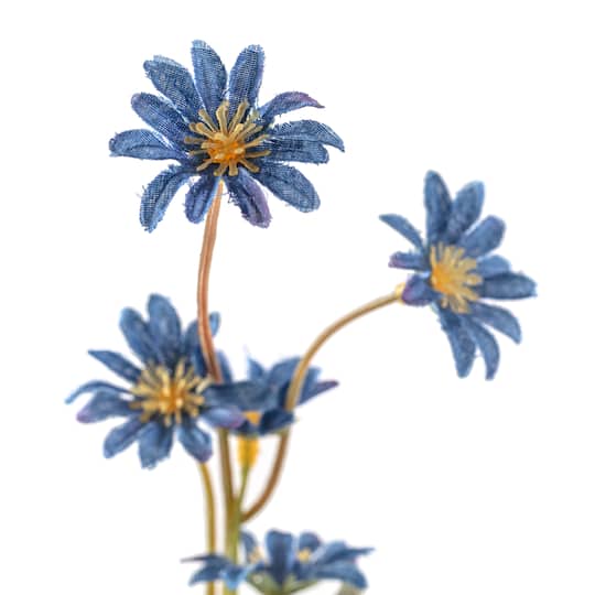 Wild Daisy Spray by Ashland®